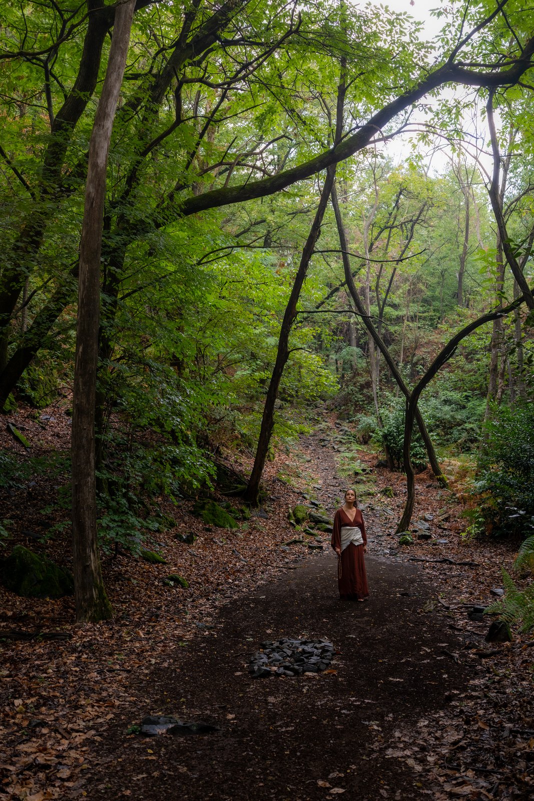 Woman in a red dress on a path through a green forest