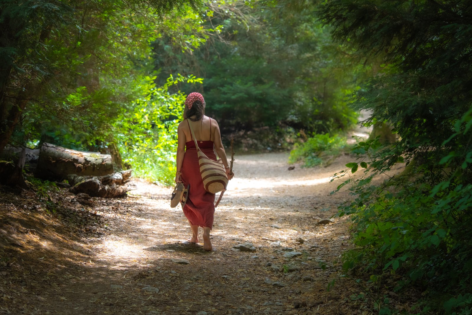 Woman walking along a sunlit forest path